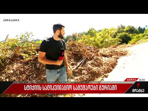 გურიაში სტიქიის სალიკვიდაციო სამუშაოები გრძელდება