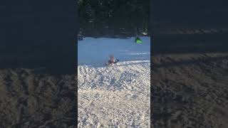 Girl rides sled down hill and crashes into pole