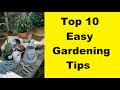 10 top gardening tips for beginners