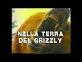 Nella terra del grizzly