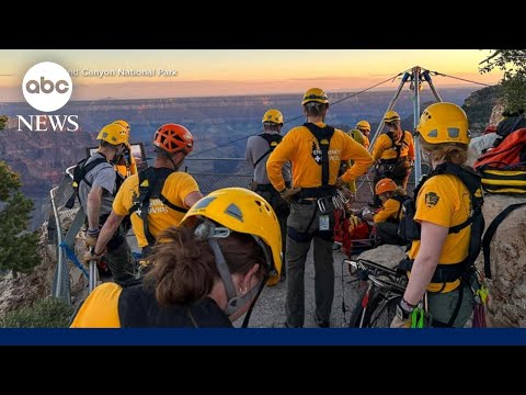 13-year-old falls over edge of Grand Canyon | GMA