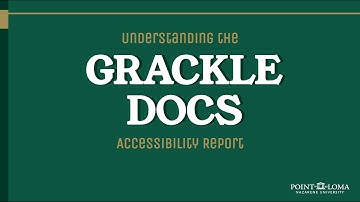 Understanding the Grackle Docs Accessibility Report