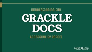 Celebrity Understanding the Grackle Docs Accessibility Report Profile