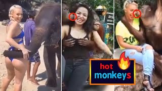 حيوانات قليلة الأدب جزء 2 #مضحك | animals bad funny monkeys