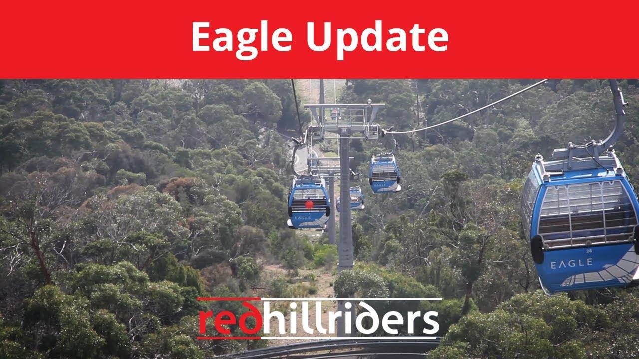 Arthurs Seat Eagle Update