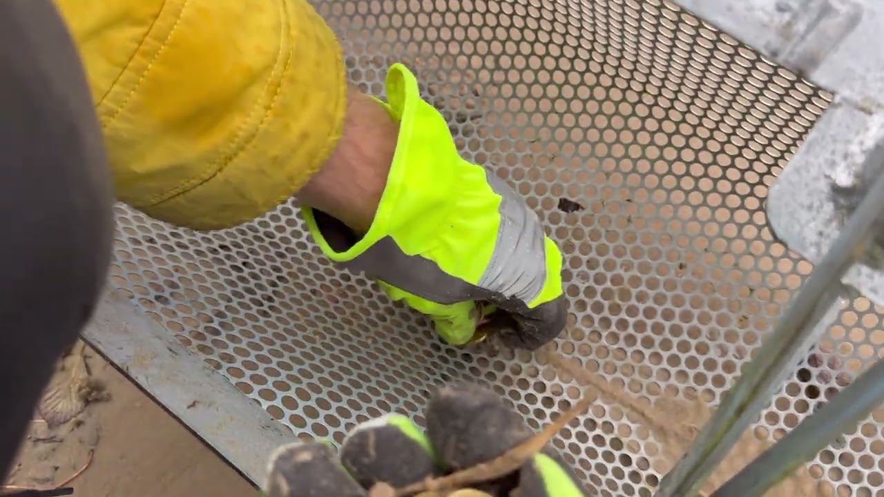 Чистка пляжа совком - От мухобоек,странных вещей и подсвечников 