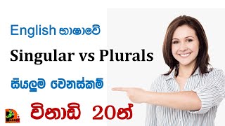 Singular and Plural Nouns| English Grammar in Sinhala | Rules of making plurals| Clear explanations