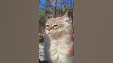 اكتب شئ  تؤجر عليه 🧡🪻                     سورة الفرقان ...🪻