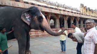 Lakshmi ~ The Elephant Goddess at the Birupakha Temple Hampi on the Bank of the River Tungabhadra