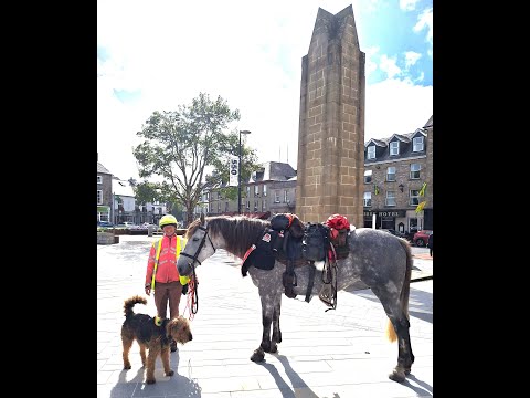 Along the Wild Atlantic Way with a horse and a dog - Year 1: from Malin Head to Donegal town