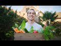 How Growing My Own Food Changed My Life in My 20s