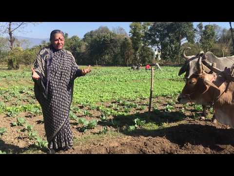 A message from Dr Vandana Shiva for the New Year 2020