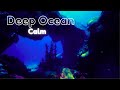 White Noise Under Water Ocean 💤 Sleep Instantly