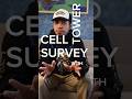Cell Tower Shelter Inspection: Hornet &amp; Wasp Safety Guide for Drone Pilots