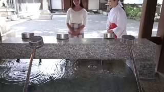 神社遊！解讀神社空間手水舍| nippon.com