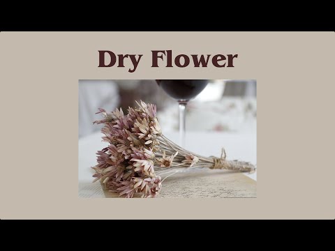 Dry Flower / ดอกไม้แห้ง - Yuuri  (Thai Version) | Ramirez