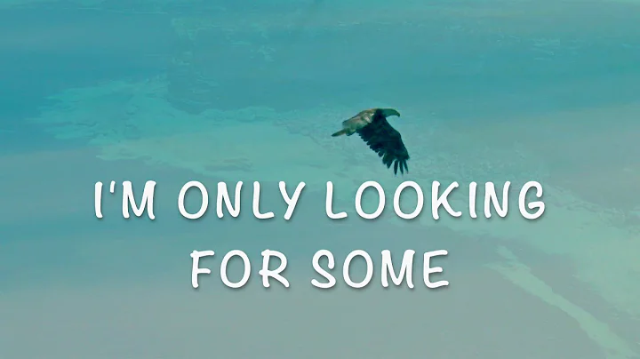 Katie Veltri - Catch Me (Official Lyric Video)