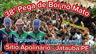 38 Pega De Boi No Mato Sítio Apolinário Jataúba Pe Org Junior, Jucy, Jussa E Família