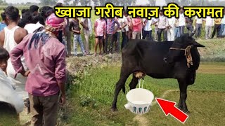 ख्वाजा गरीब नवाज़ और पत्थर की गाय || KGN || Patthar Ki Gaay Ka Waqia || Ajmer