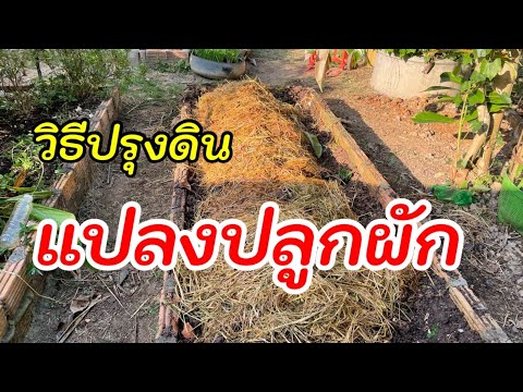 307 / วิธีปรุงดินในแปลงปลูกผัก /Cook the soil for planting vegetables /ตั้มเกษตรพอเพียง