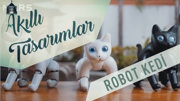 Robot Kedi