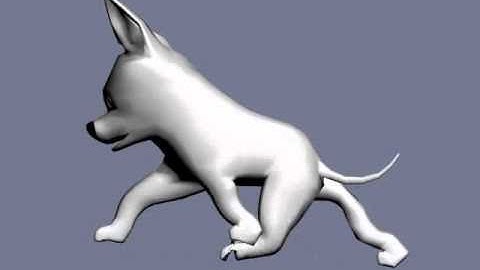 Dog Walking Animation Using CAT 3ds Max