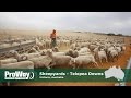 ProWay Sheepyards - Telopea Downs Victoria, Australia