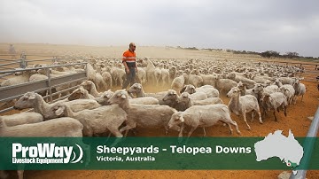 ProWay Sheepyards - Telopea Downs Victoria, Australia