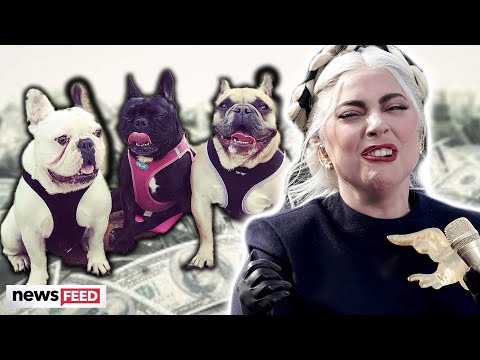 Why Lady Gaga is WITHHOLDING Dognapping Reward!