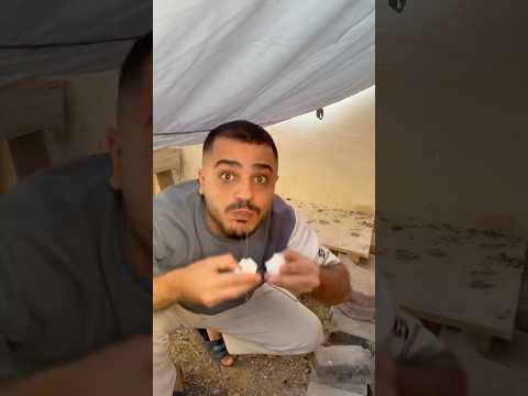 لصصصص البيض جيفارا العلي