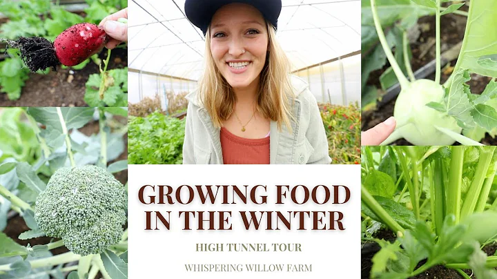 Growing Food in the Winter / High Tunnel Tour