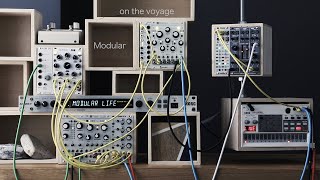 2hp Arp - Eurorack Module on ModularGrid