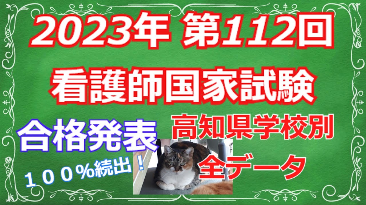 看護 師 国家 試験 合格 発表 学校 別