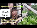 Hydroponics | Urban Farming sa Binatana | Simple Set-up!