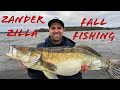 MONSTER ZANDER | Zander Fall Fishing 2022