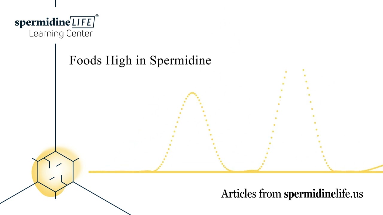 Foods High in Spermidine | What Is Spermidine? | Best Foods for Longevity