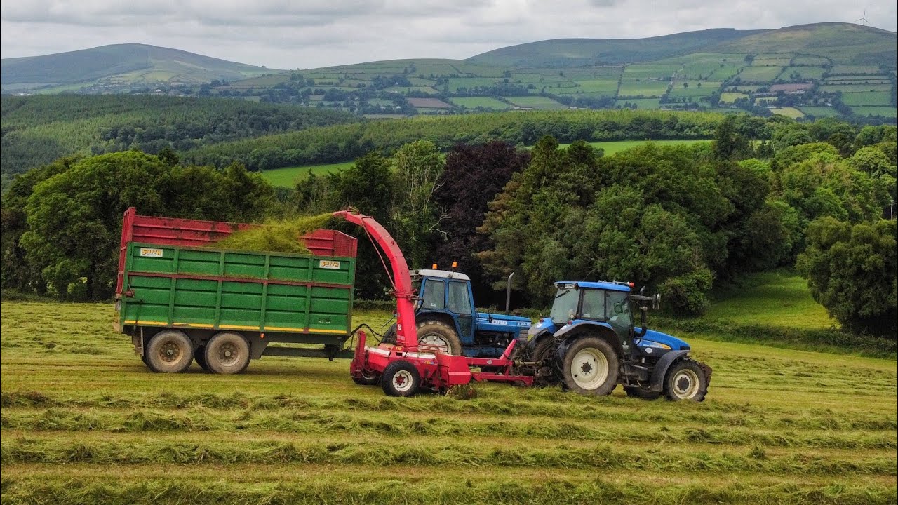 NO SCHOOL LIKE THE OLD SCHOOL? ~ Stedman First Cut Silage 2025! ~ Jf 900, Ford TW15, 8340 & TM145!🇮🇪