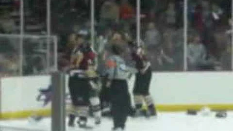 Houston Aeros Fight