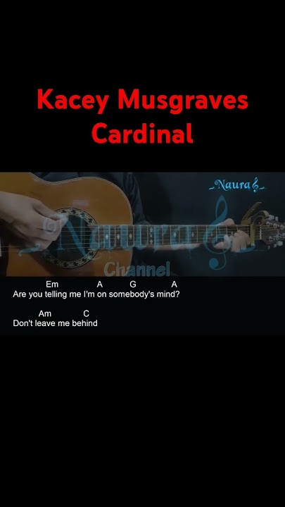 Kacey Musgraves - Cardinal Guitar Chords Lyrics #shorts - YouTube