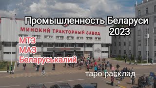 Беларусь. Промышленность 2023. Прогноз Таро.