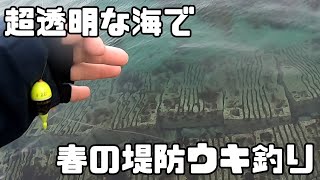 【ウキ釣り】春の堤防フカセ釣りで入れ食いに！？春の日本海の堤防でグレ釣りを楽しむ【波止グレ】