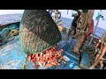 Amazing Colorful Fishing Catch Skill, Traditional Net Fishing in The Sea | KadaTV