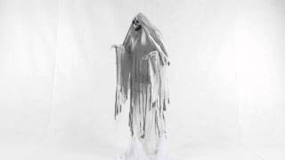 Rising Animated Phantom - Spirit Halloween