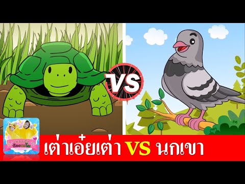 เพลงเต่า vs นกเขา 