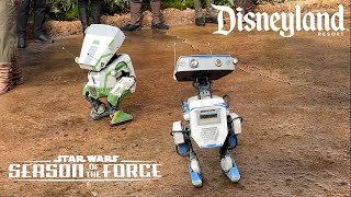 BDX Droids Arrive at Star Wars: Galaxy's Edge for Season of the Force - Disneyland