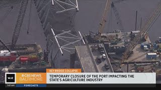 Port of Baltimore opening essential for Maryland farmers facing logistical hurdles, financial losses