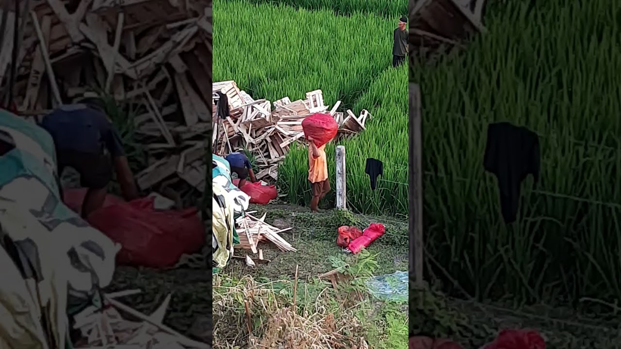  Truk  Cabe kecelakaan  di tol ngawi YouTube