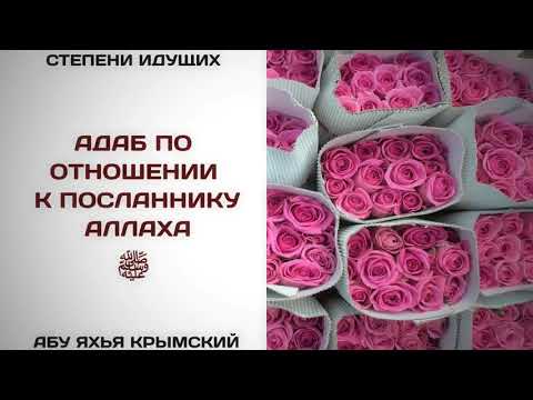 91. Адаб по отношению к посланнику Аллаха, да благословит его Аллах и приветствует