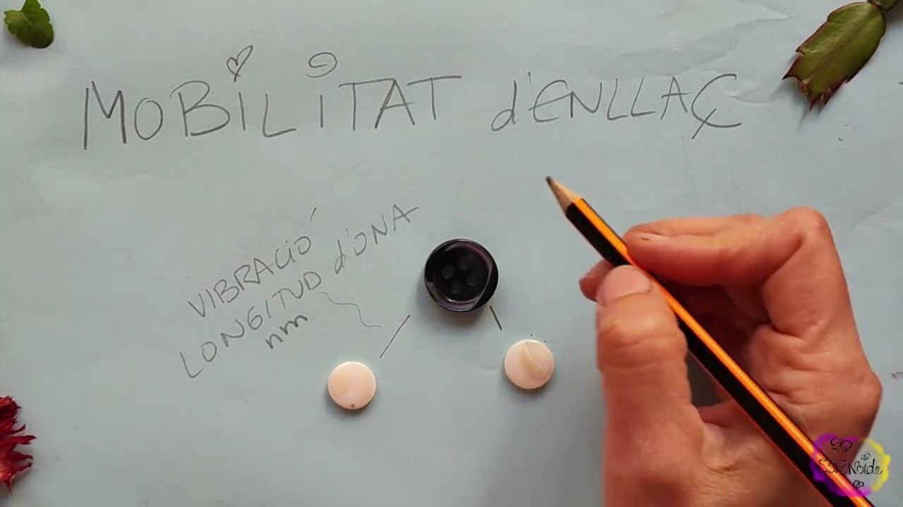 💧AIGUA: VIBRACIÓ D’ENLLAÇ, MOBILITAT💧