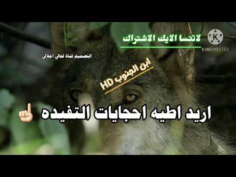 ايا طعم الجكاره وانته سهران اجمل شعار عراقيه حزينه 2021 قصير شعر عراقي حزين 2021 شعر شعبي 2021 